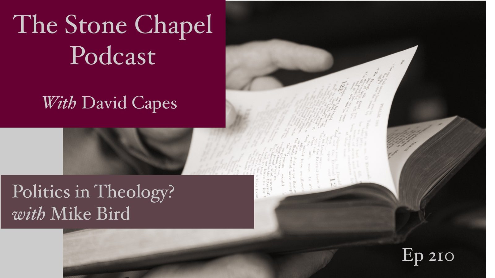 Politics in Theology? With Mike Bird